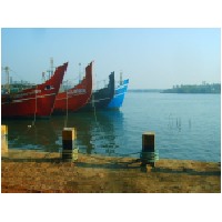 Kerala boats.JPG